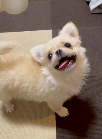 まゆのプロフィール画像